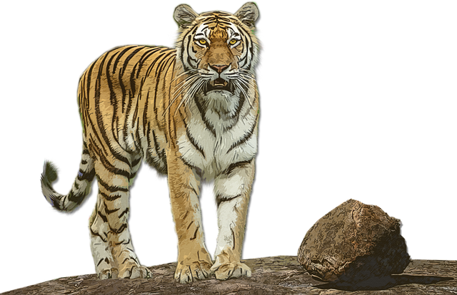 Free download Tiger Wild Animal -  free illustration to be edited with GIMP online image editor