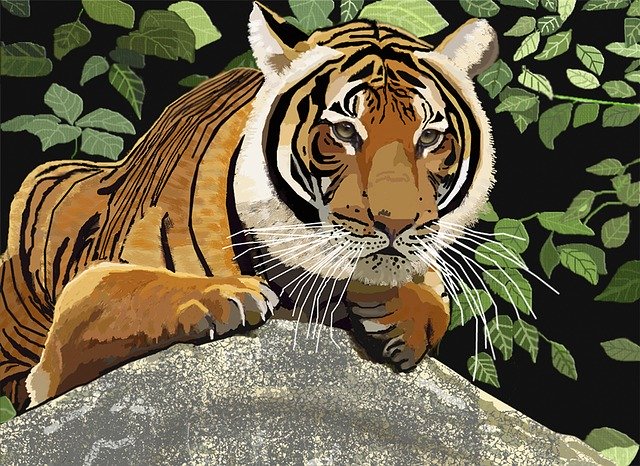 Free download Tiger Wildlife Mammal -  free illustration to be edited with GIMP free online image editor