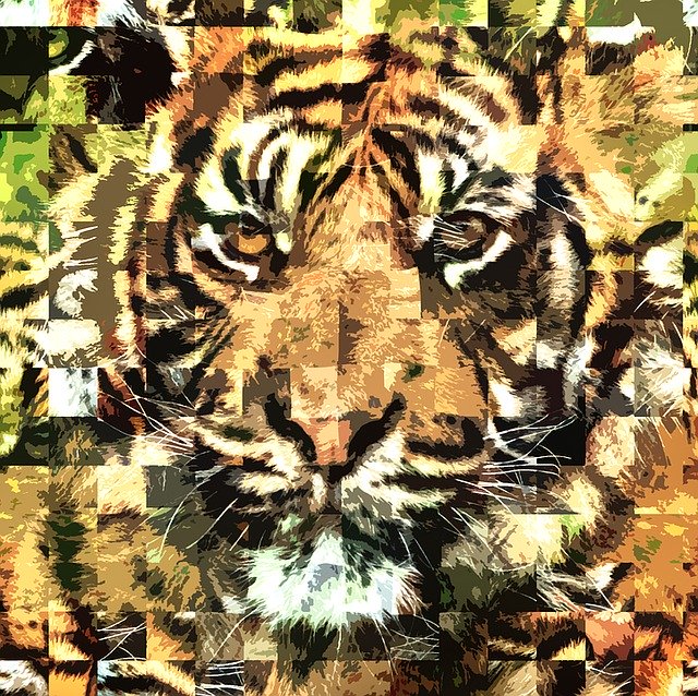 Free download Tiger Zoo Abstract Big -  free illustration to be edited with GIMP free online image editor