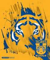 Free download Tigres Wizard free photo or picture to be edited with GIMP online image editor