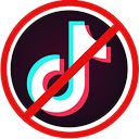 Tiktok eradicator  screen for extension Chrome web store in OffiDocs Chromium