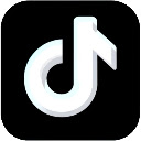 TikTok Video Saver  screen for extension Chrome web store in OffiDocs Chromium