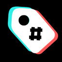 TikTok Video Tags Summary with ChatGPT  screen for extension Chrome web store in OffiDocs Chromium