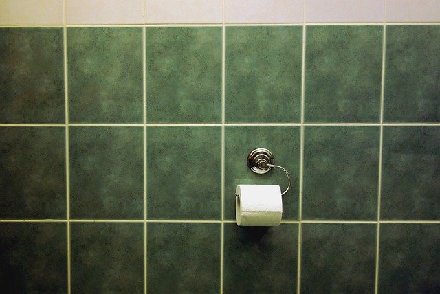 Free picture Tile Bad Green Toilet -  to be edited by GIMP free image editor by OffiDocs