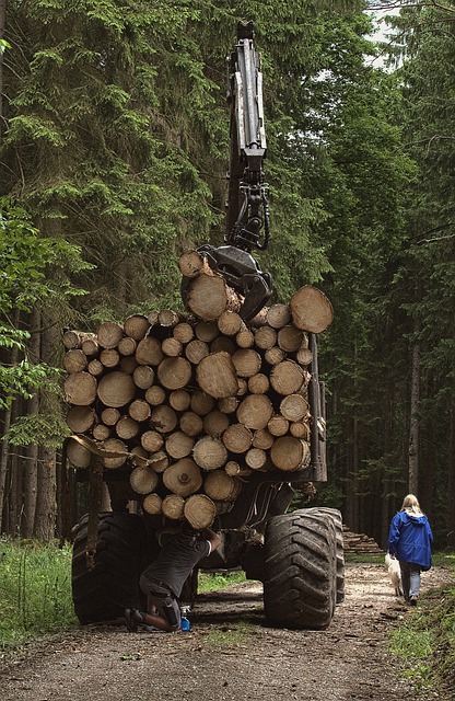 Free download timber harvest forwarder wooden back free picture to be edited with GIMP free online image editor