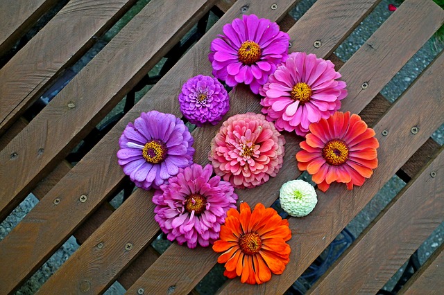 Free download Tin Flowers Colorful free photo template to be edited with GIMP online image editor