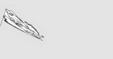 tinkerleo GIMP online editor free Free download tinkerleo free photo or picture to be edited with GIMP online image editor