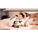 tired cat  screen for extension Chrome web store in OffiDocs Chromium