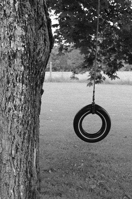 Free download Tire Swing -  free photo or picture to be edited with GIMP online image editor