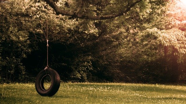 Free graphic tireswing tire swing photography to be edited by GIMP free image editor by OffiDocs