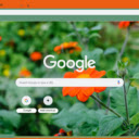 Tithonia  screen for extension Chrome web store in OffiDocs Chromium
