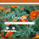 Tithonia Torch  screen for extension Chrome web store in OffiDocs Chromium