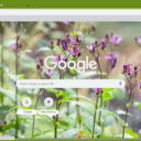 Toad Lily  screen for extension Chrome web store in OffiDocs Chromium