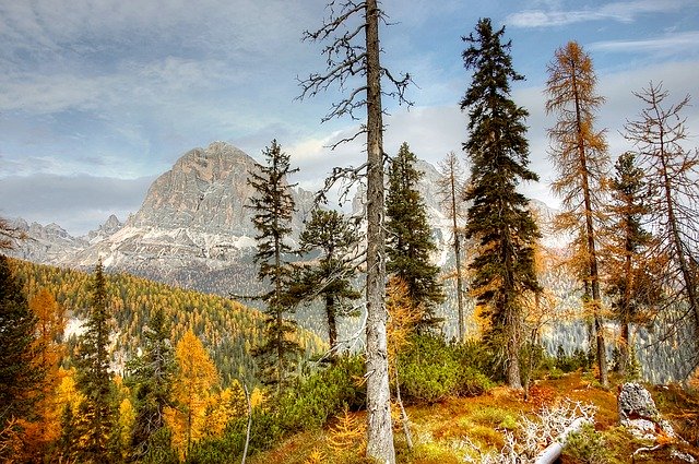 Descarga gratuita Tofane Dolomites Nature: foto o imagen gratuita para editar con el editor de imágenes en línea GIMP