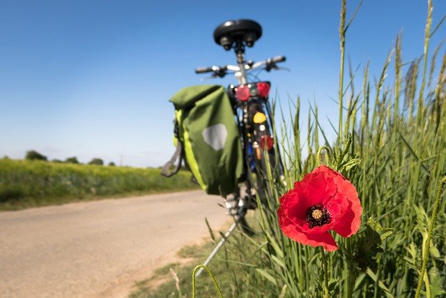 Free download to go biking poppy leisure time free picture to be edited with GIMP free online image editor