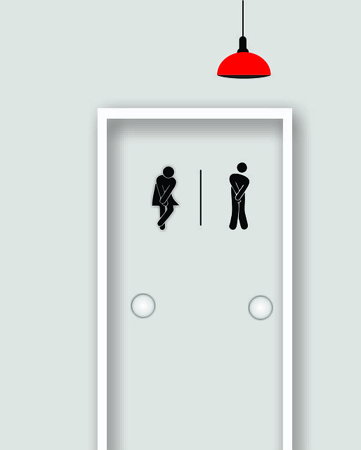 Free download Toilet Sign Bathroom -  free illustration to be edited with GIMP free online image editor