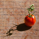 tomato and music  screen for extension Chrome web store in OffiDocs Chromium