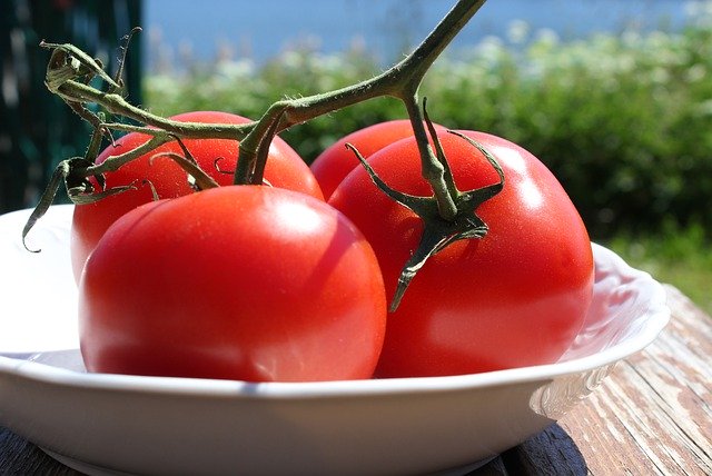 Kostenloser Download Tomatoes Food Health Day - kostenloses Foto oder Bild zur Bearbeitung mit GIMP Online-Bildbearbeitung