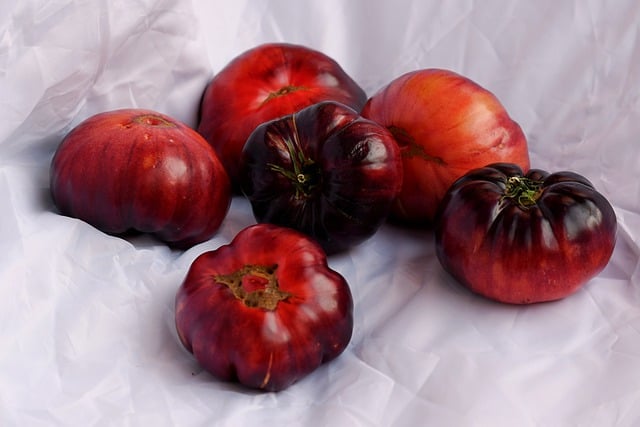 Free download tomatoes fruits healthy salad free picture to be edited with GIMP free online image editor
