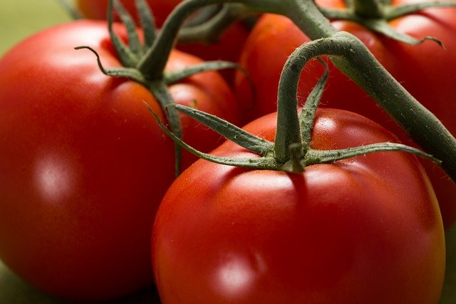 Gratis download Tomatoes Red Food - gratis foto of afbeelding om te bewerken met GIMP online afbeeldingseditor