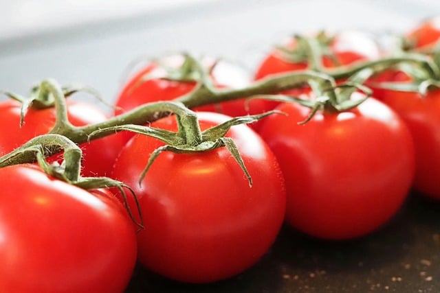 Free download tomatoes vegetables fresh healthy free picture to be edited with GIMP free online image editor