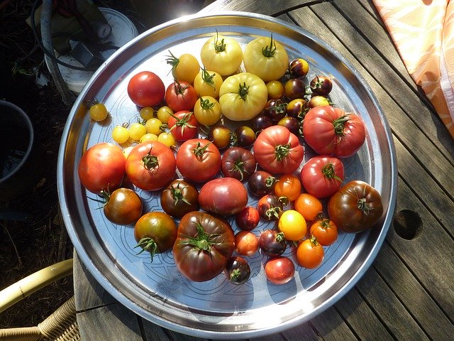 Bezpłatne pobieranie Tomatoes Wanted Heirloom - darmowe zdjęcie lub zdjęcie do edycji za pomocą internetowego edytora obrazów GIMP