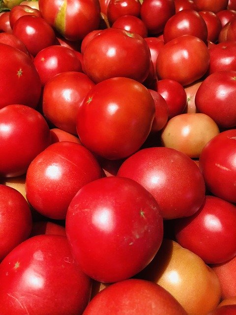 Free download Tomato Fruit Eat -  free photo or picture to be edited with GIMP online image editor