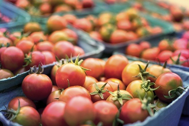 Free download tomato healthy health produce free picture to be edited with GIMP free online image editor