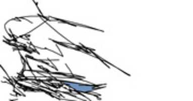 Free download tomato free photo or picture to be edited with GIMP online image editor