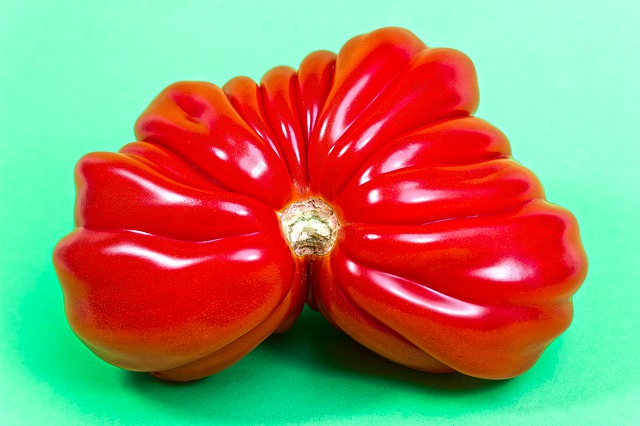 Free download tomato red vegetables meal food free picture to be edited with GIMP free online image editor