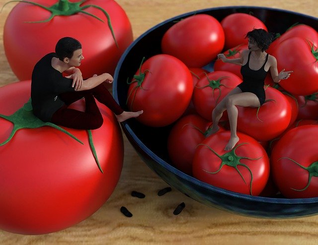 Template Photo Tomato Vegetable Fruit for OffiDocs