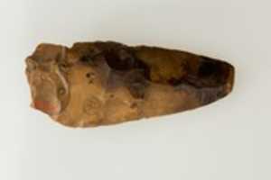 Free download Tool free photo or picture to be edited with GIMP online image editor