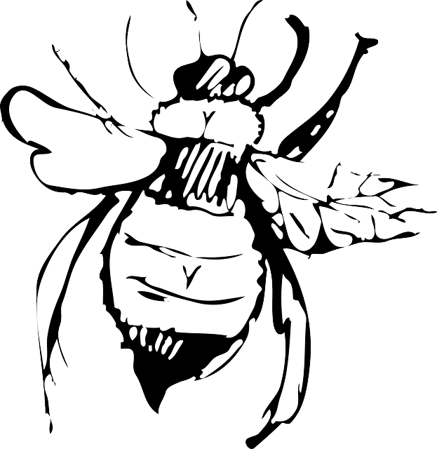 Free download Top View Bee - Free vector graphic on Pixabay free illustration to be edited with GIMP free online image editor