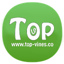 Top Vines  screen for extension Chrome web store in OffiDocs Chromium