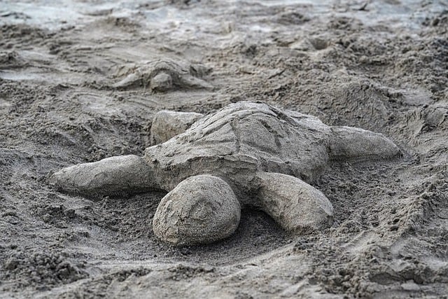 Free download tortoise sand artwork art animal free picture to be edited with GIMP free online image editor