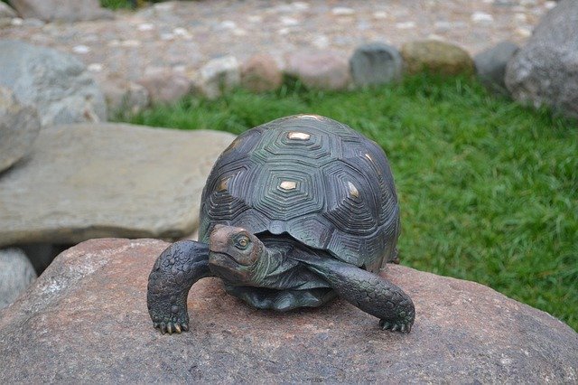 Descărcare gratuită Tortoise Stone Bronze - fotografie sau imagini gratuite pentru a fi editate cu editorul de imagini online GIMP