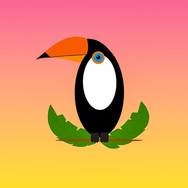 Free download toucan tropical beak bird colorful free picture to be edited with GIMP free online image editor