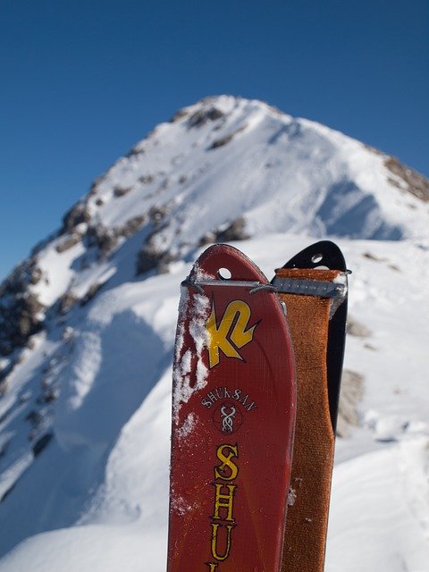 Gratis download Touring Ski's Climbing Skins - gratis foto of afbeelding om te bewerken met GIMP online afbeeldingseditor