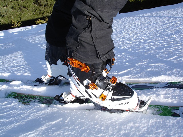 Free download touring skis ski touring binding free picture to be edited with GIMP free online image editor