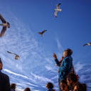 Tourists watch birds  screen for extension Chrome web store in OffiDocs Chromium