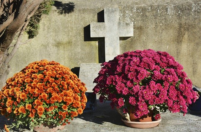 Unduh gratis Toussaint Cemetery Cross - foto atau gambar gratis untuk diedit dengan editor gambar online GIMP