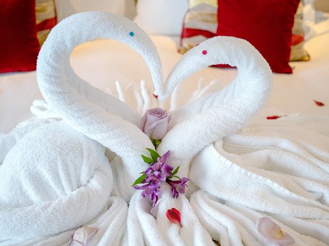 বিনামূল্যে ডাউনলোড করুন Towels Swans Cruise - বিনামূল্যে ছবি বা ছবি GIMP অনলাইন ইমেজ এডিটর দিয়ে সম্পাদনা করতে হবে