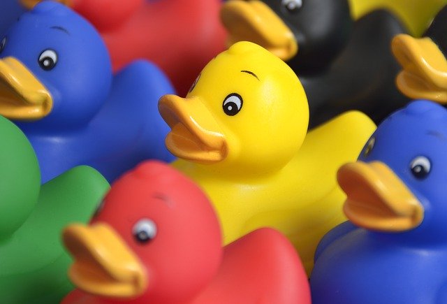 Téléchargement gratuit de Toy Duck Col - photo ou image gratuite à éditer avec l'éditeur d'images en ligne GIMP