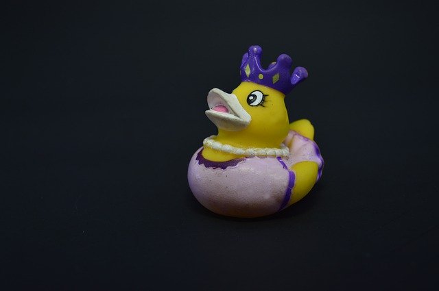 Muat turun percuma Toy Duck Toys - foto atau gambar percuma untuk diedit dengan editor imej dalam talian GIMP
