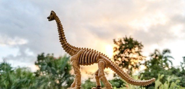 Free download Toy Fossil Dinosaur Pretend -  free photo or picture to be edited with GIMP online image editor