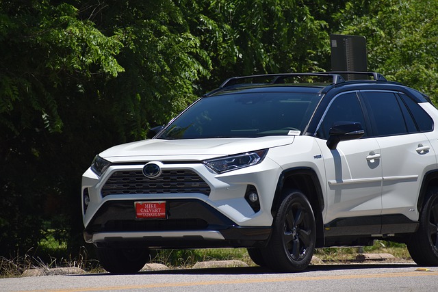 Free download toyota rav 4 hybrid crossover suv free picture to be edited with GIMP free online image editor