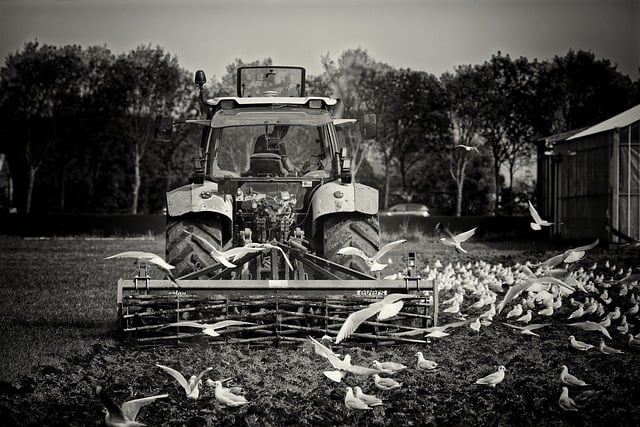 Free download tractor farm plow seagulls free picture to be edited with GIMP free online image editor