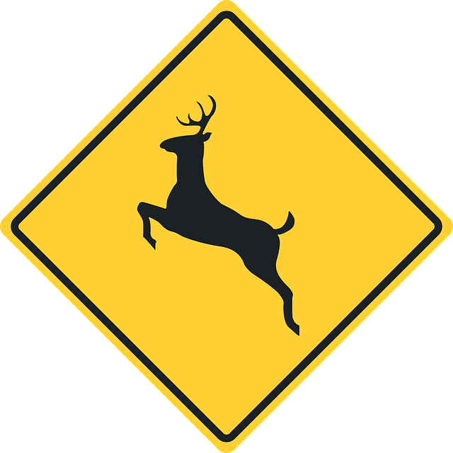 Free download Traffic Sign Road Caution - Free vector graphic on Pixabay free illustration to be edited with GIMP free online image editor