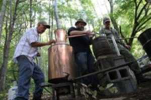 Free download Trafiquants Dalcool free photo or picture to be edited with GIMP online image editor