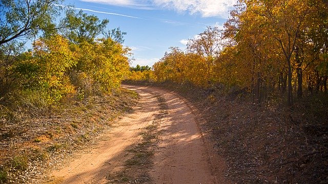 Muat turun percuma Trail Fall Texas - foto atau gambar percuma untuk diedit dengan editor imej dalam talian GIMP